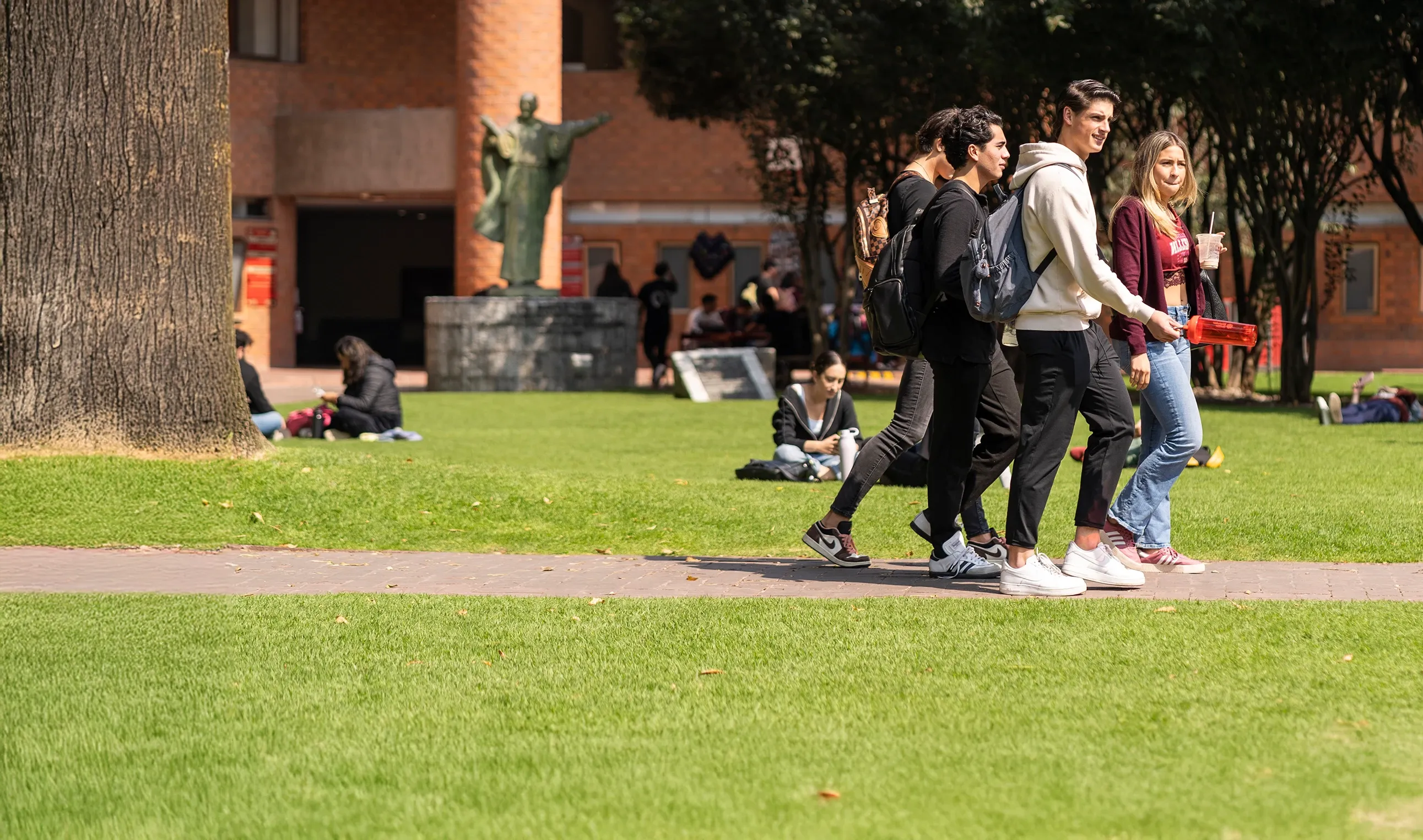 Imagen ilustrativa: Excelencia académica y compromiso