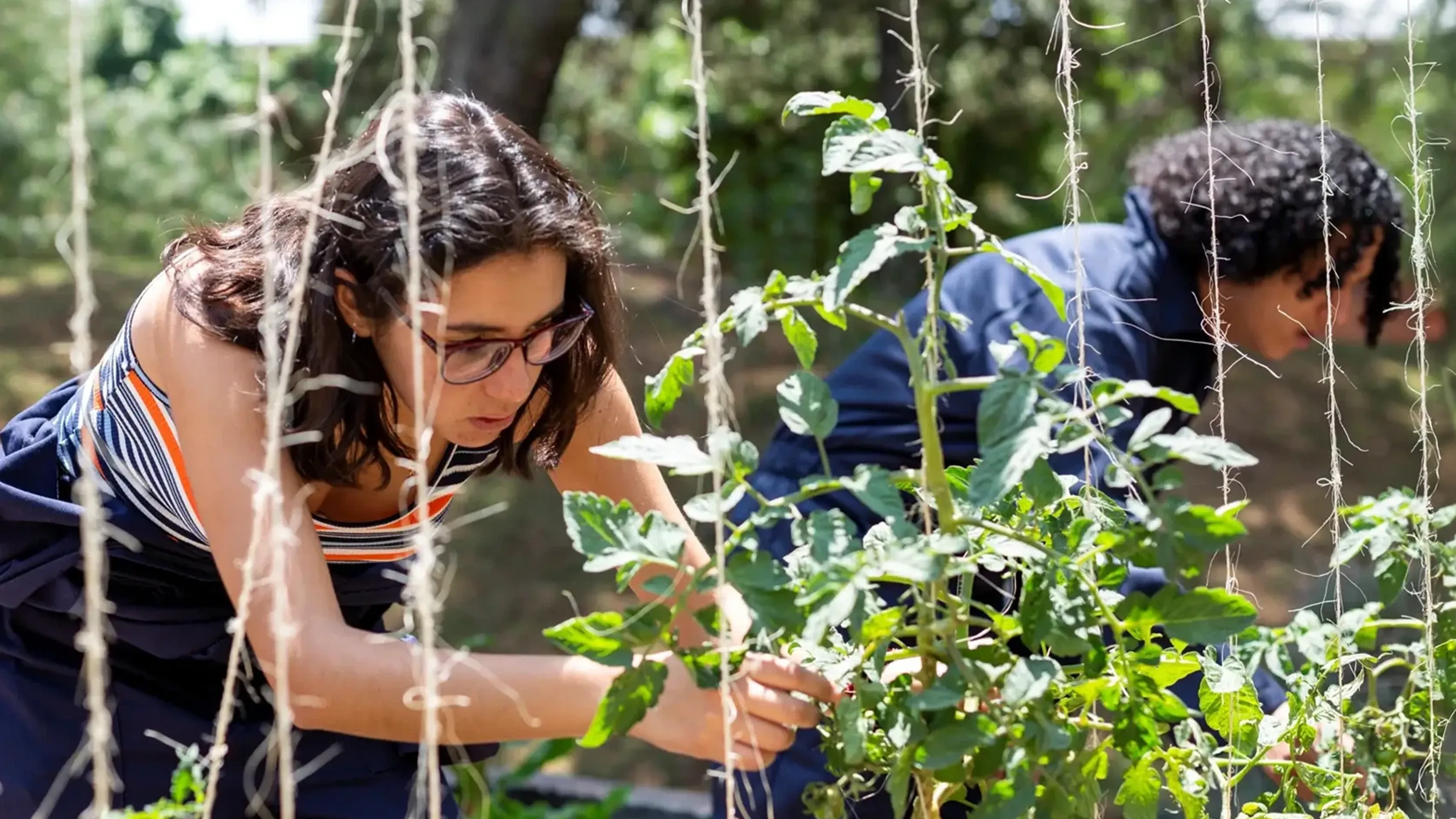 Estudiantes en el huerto IBERO.