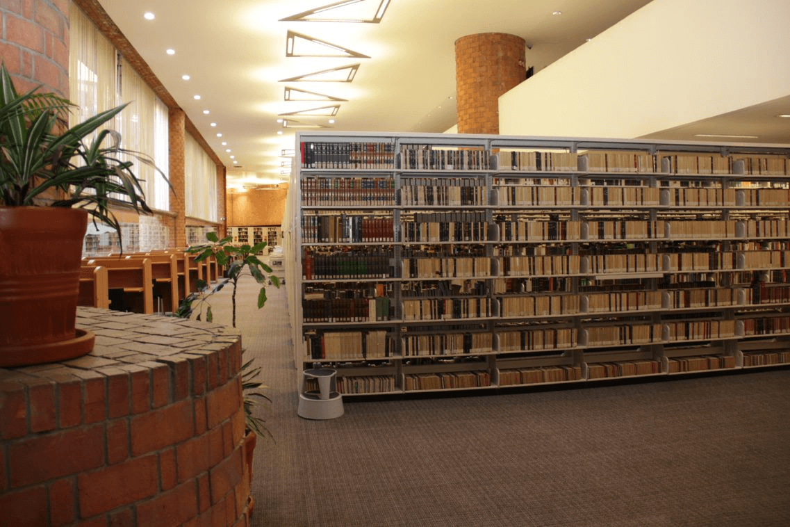 Investigación de frontera y publicaciones en los principales canales que nutren a la profesión.