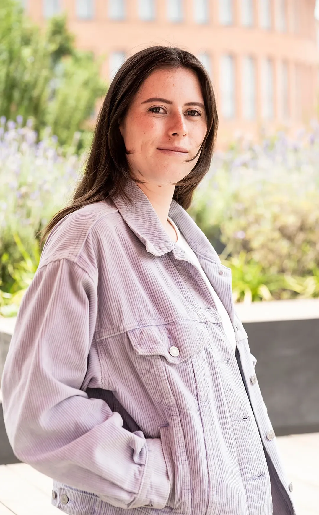 Imagen ilustrativa: Perfil de ingreso