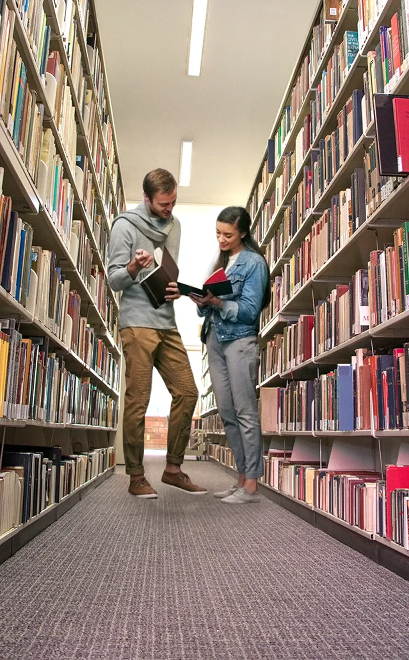 Imagen ilustrativa: Perfil de ingreso